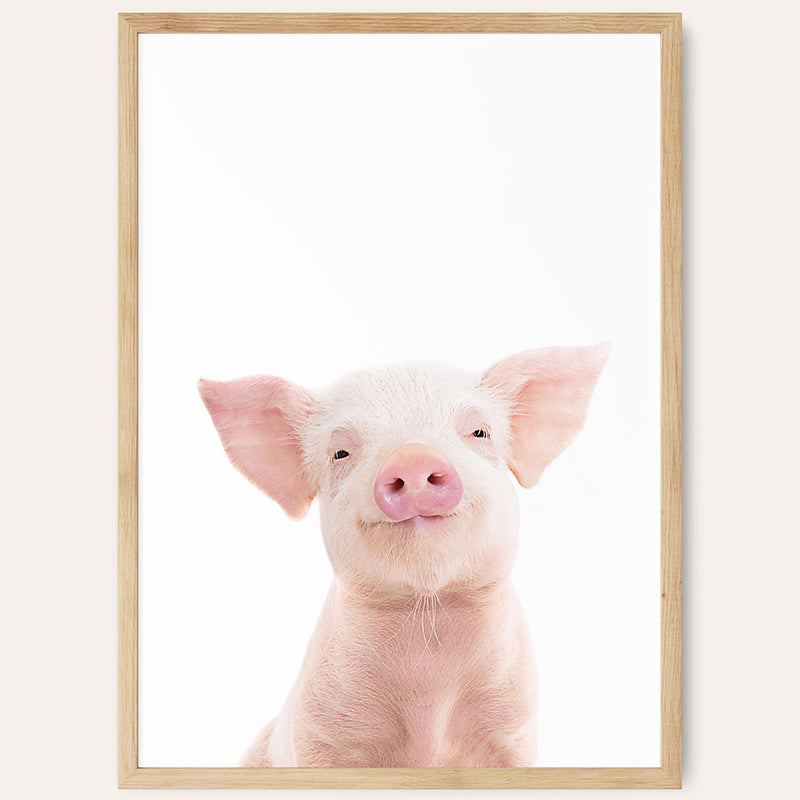 a picture of a pig with a funny look on it's face