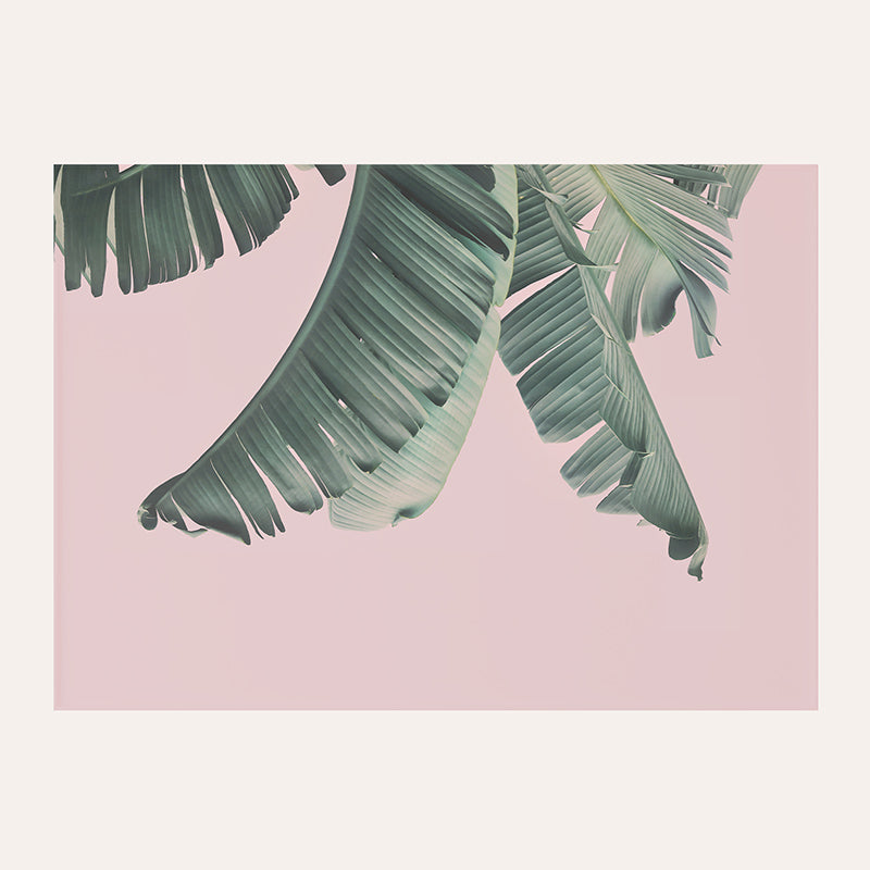 Banana Leaf / Art Print - Sisi And Seb - Art Prints