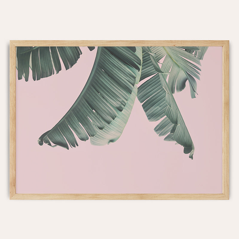 Banana Leaf / Framed Print - Sisi And Seb - Framed Prints