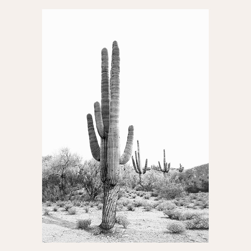 Desert Cactus BW / Art Print - Sisi And Seb - Art Prints