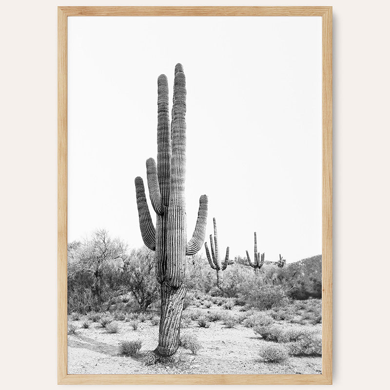 Desert Cactus BW / Framed Print - Sisi And Seb - Framed Prints