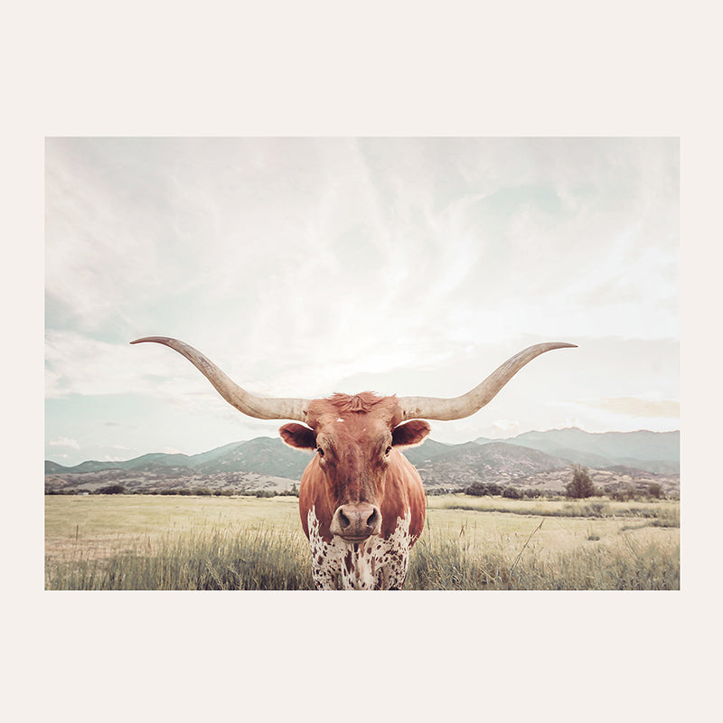 Longhorn Texas / Art Print - Sisi And Seb - Art Prints