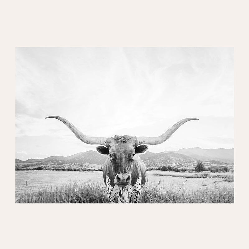 Longhorn Texas BW / Art Print - Sisi And Seb - Art Prints