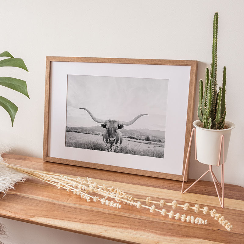 Longhorn Texas BW / Framed Print - Sisi And Seb - Framed Prints