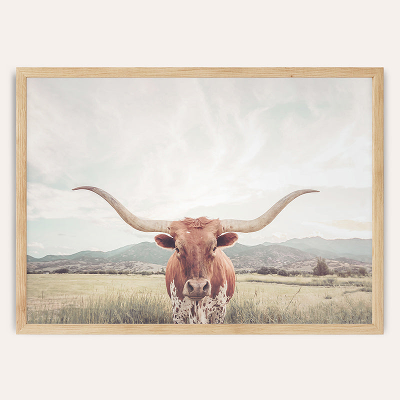 Longhorn Texas / Framed Print - Sisi And Seb - Framed Prints