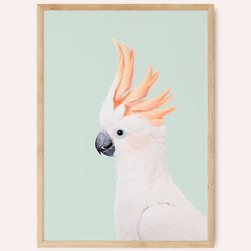 Mint Cockatoo / Framed Print - Sisi And Seb - Framed Prints
