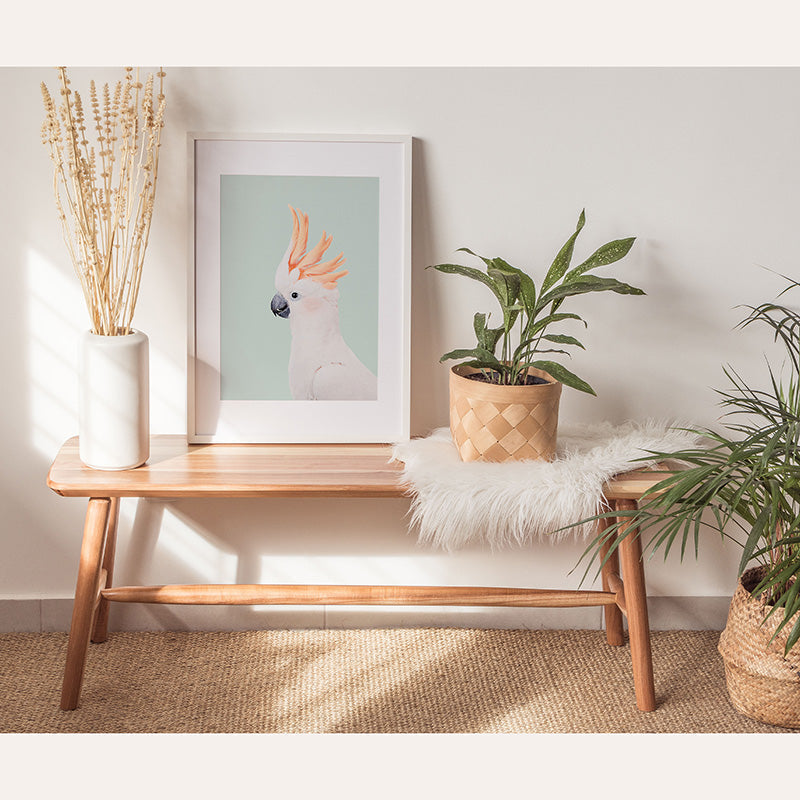 Mint Cockatoo / Framed Print