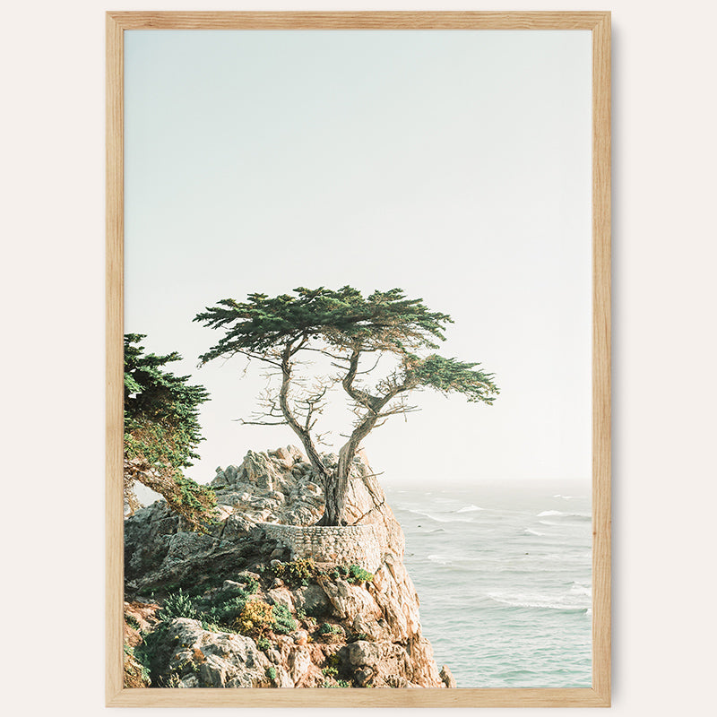 Monterey Coast / Framed Print - Sisi And Seb - Framed Prints