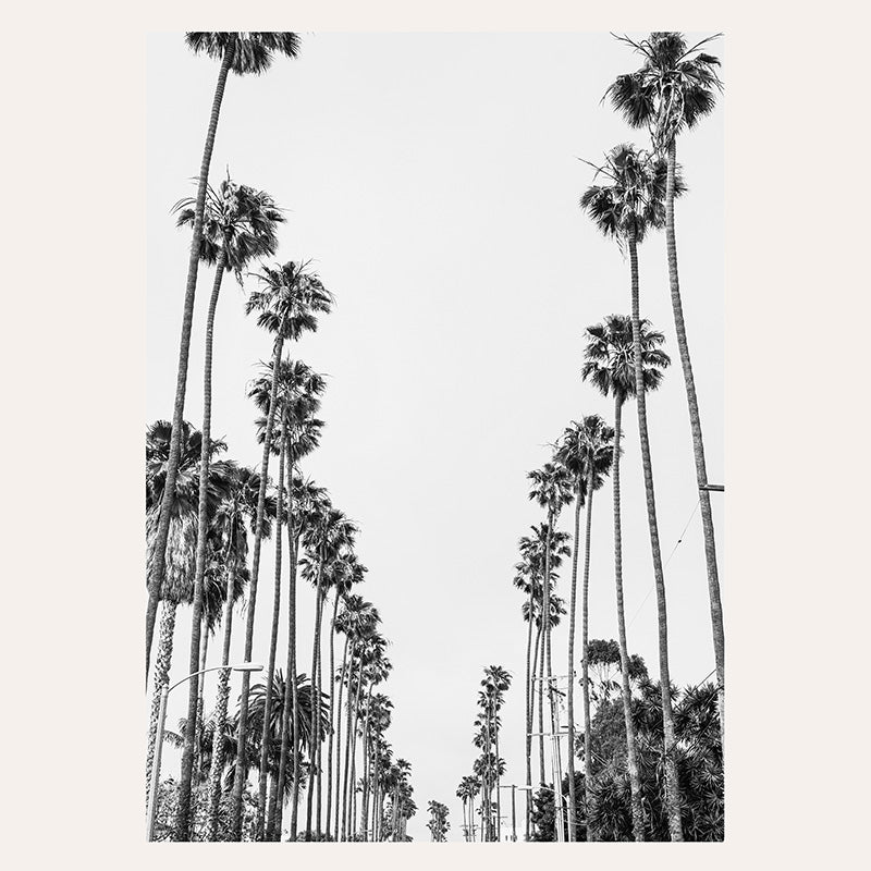 Palm Alley BW / Art Print - Sisi And Seb - Art Prints