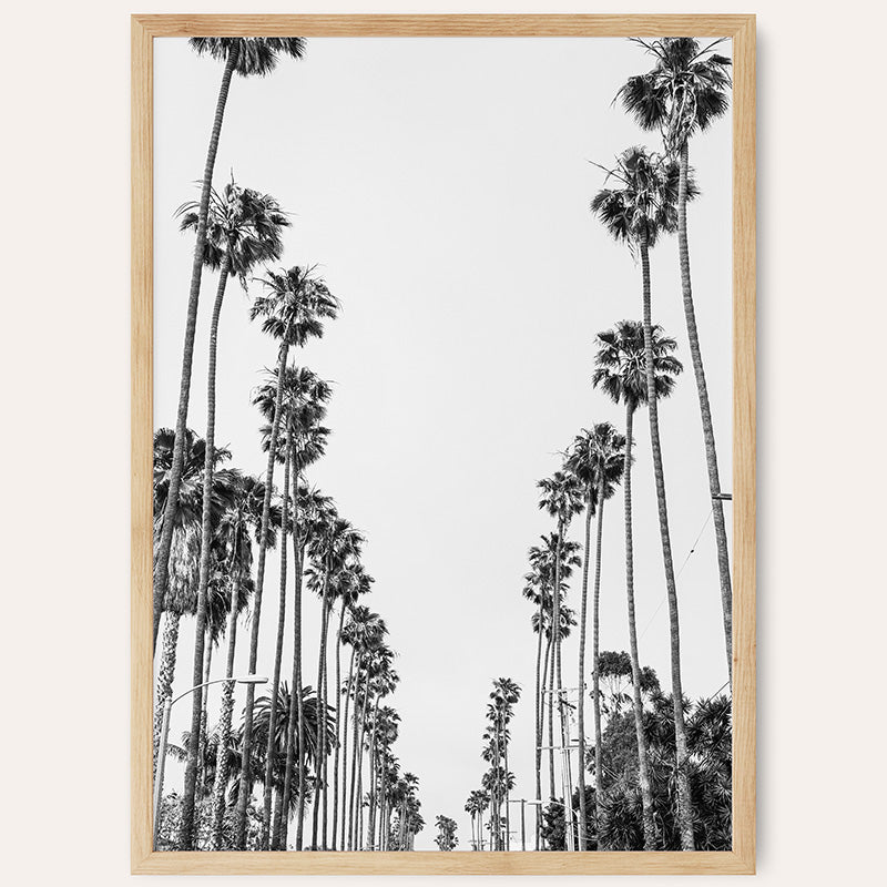 Palm Alley BW / Framed Print - Sisi And Seb - Framed Prints