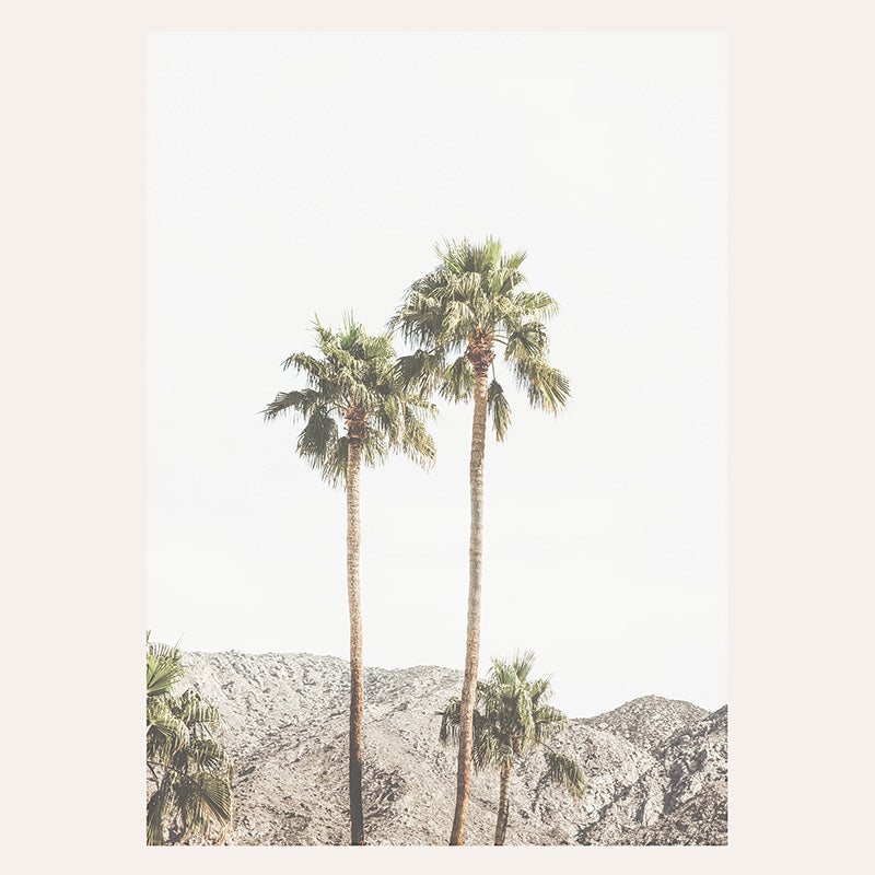 Palm Springs Palms / Art Print - Sisi And Seb - Art Prints