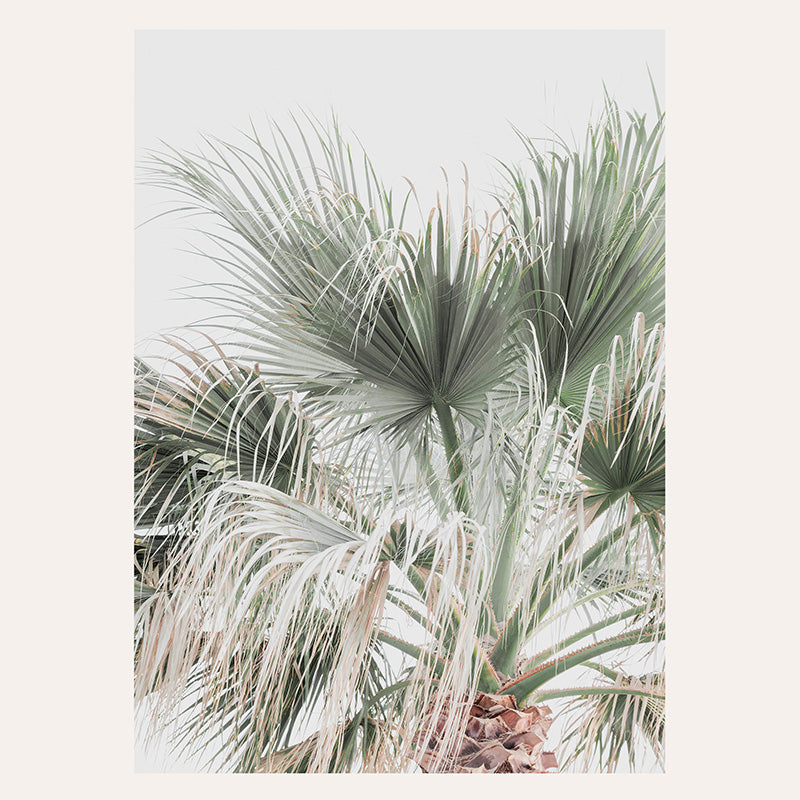 Palm Oasis / Art Print