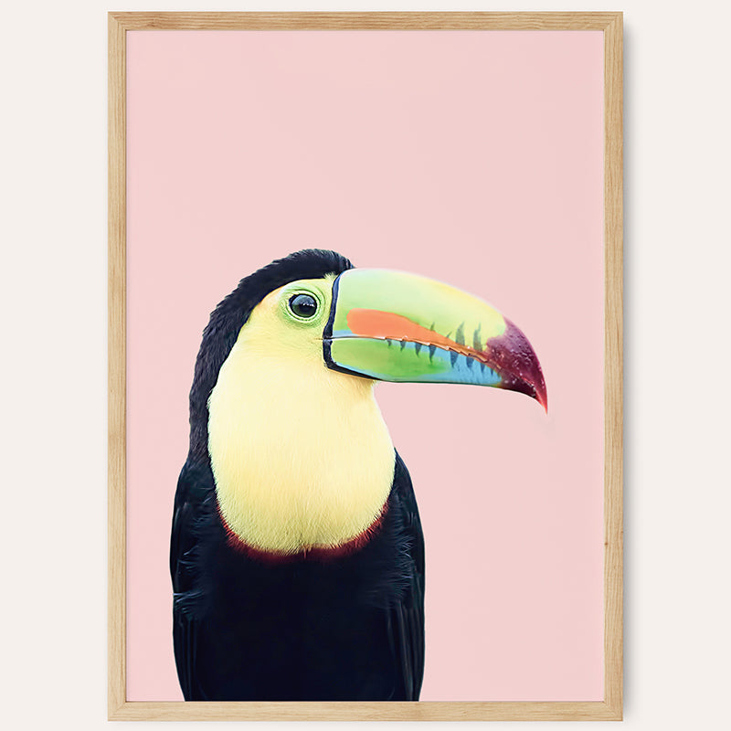 Pastel Toucan / Framed Print - Sisi And Seb - Framed Prints