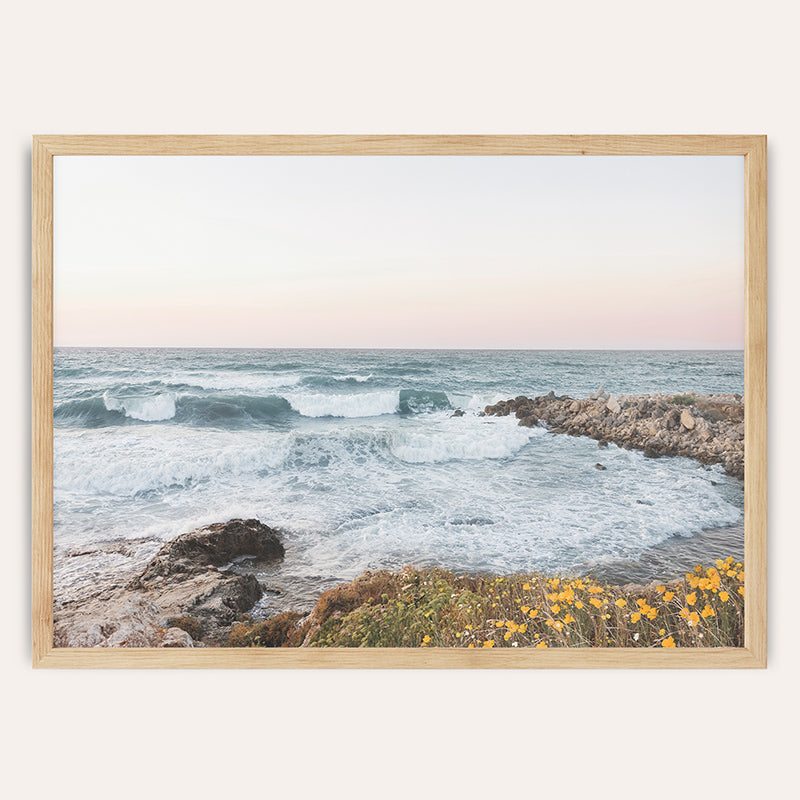 Poppies At The Coast / Framed Print