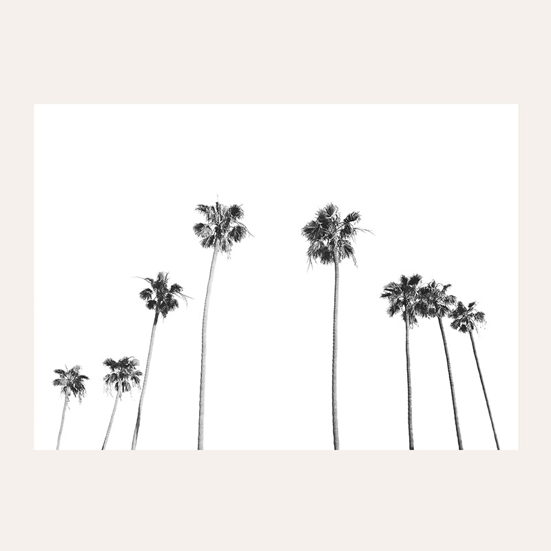 Santa Monica Palms BW / Art Print - Sisi And Seb - Art Prints