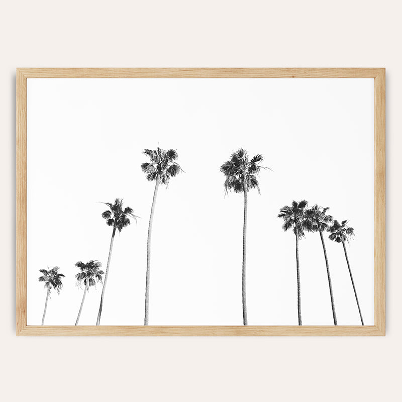 Santa Monica Palms BW / Framed Print - Sisi And Seb - Framed Prints