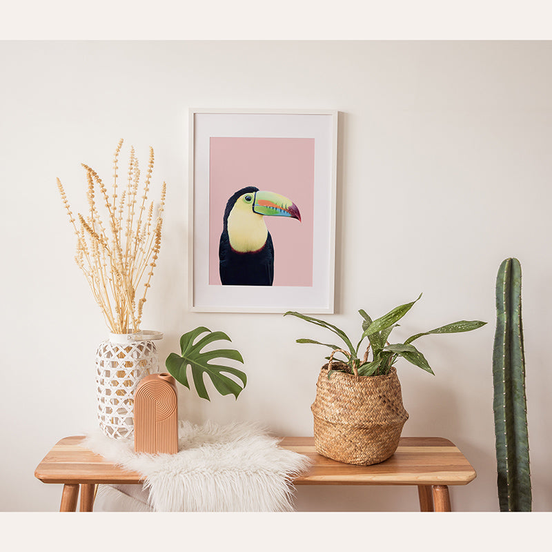 Pastel Toucan / Art Print