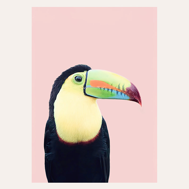 Pastel Toucan / Art Print