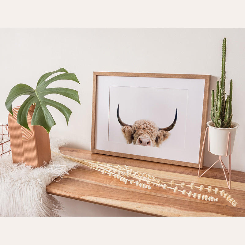 a picture of a cow&#39;s head in a wooden frame