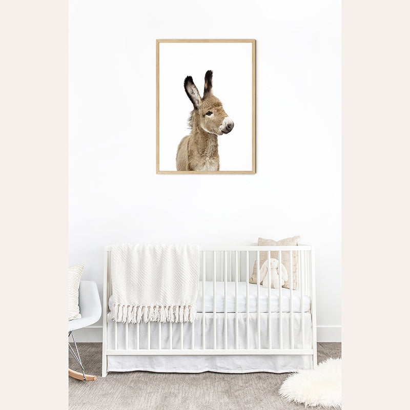 a picture of a baby donkey in a frame