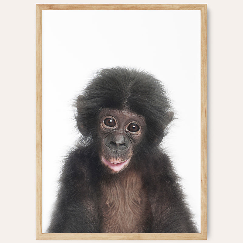 Baby Monkey / Framed Print - Sisi And Seb - Framed Prints