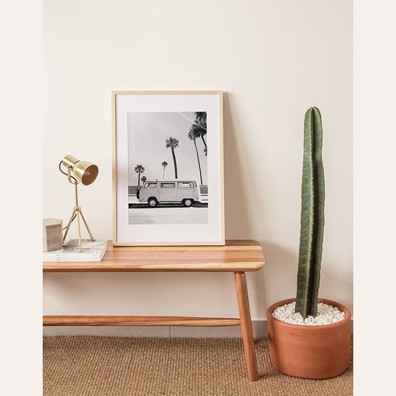 a cactus and a picture of a bus on a table