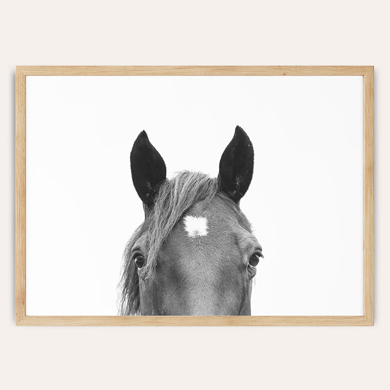 Peeking Horse BW / Framed Print - Sisi And Seb - Framed Prints