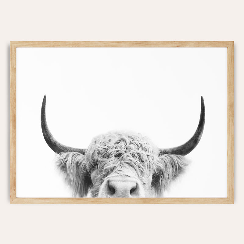 a black and white photo of a bull with large horns