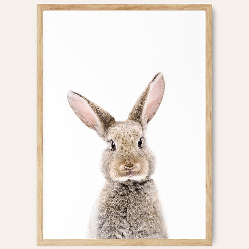 Baby Rabbit / Framed Print - Sisi And Seb - Framed Prints