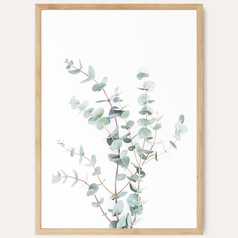Botanical I Eucalyptus / Framed Print - Sisi And Seb - Framed Prints