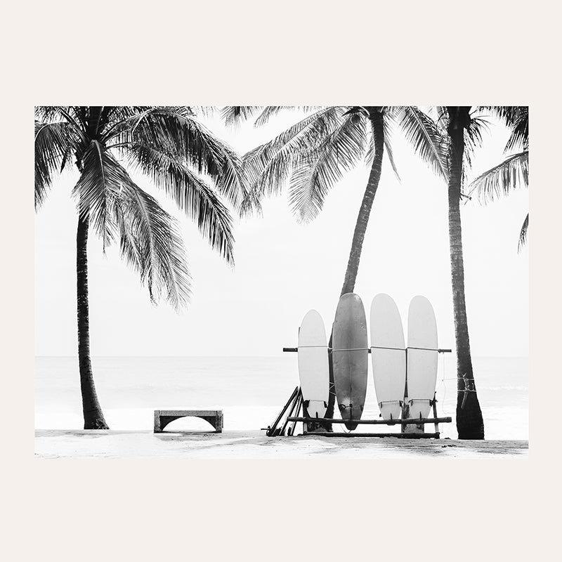 a black and white photo of surfboards on a beach