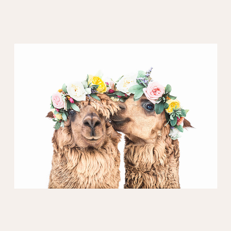 a couple of llamas with flowers on their heads