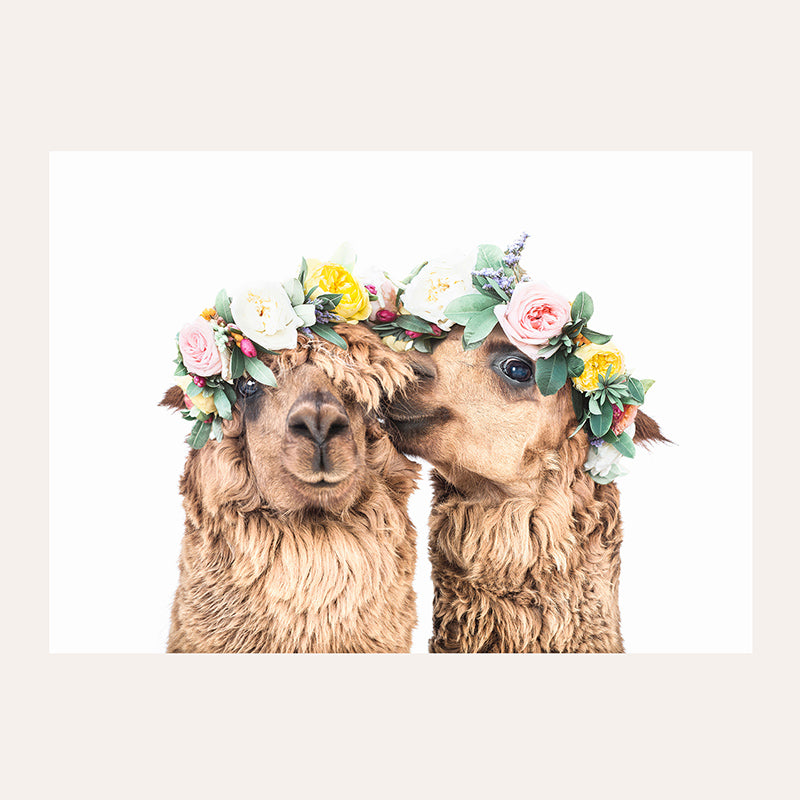 Boho Llamas / Art Print - Sisi And Seb - Art Prints