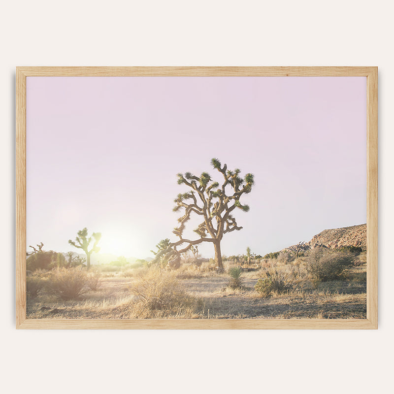 Purple Sky Joshua Tree / Framed Print - Sisi And Seb - Framed Prints