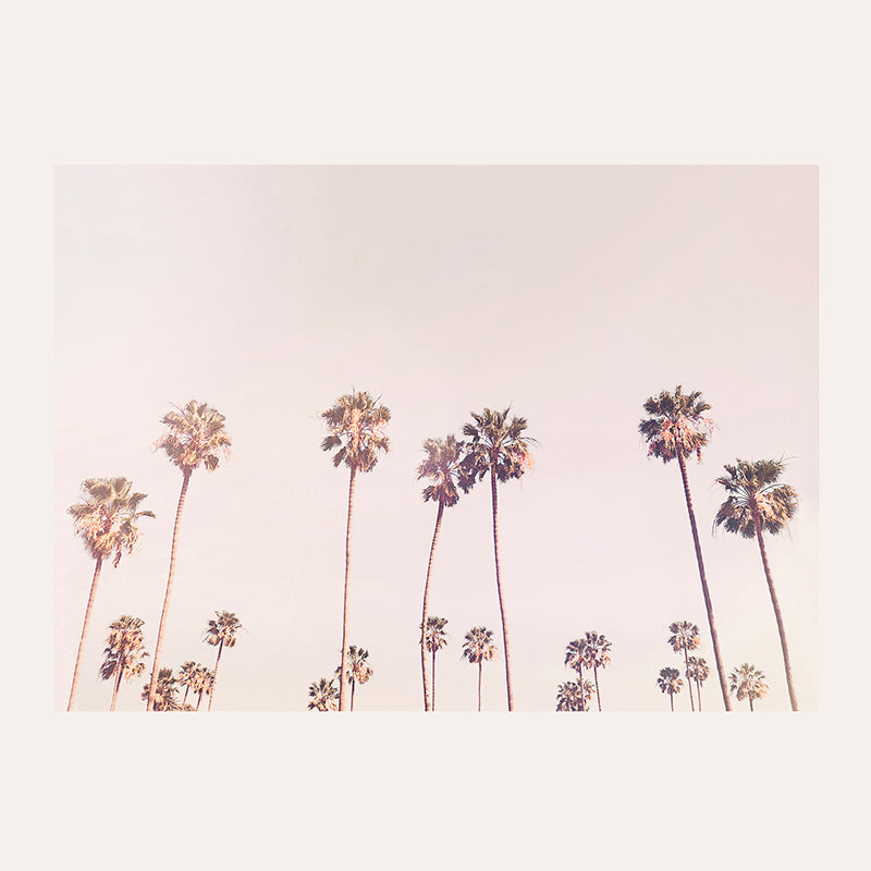Sunny Cali Palm Trees / Art Print - Sisi And Seb - Art Prints