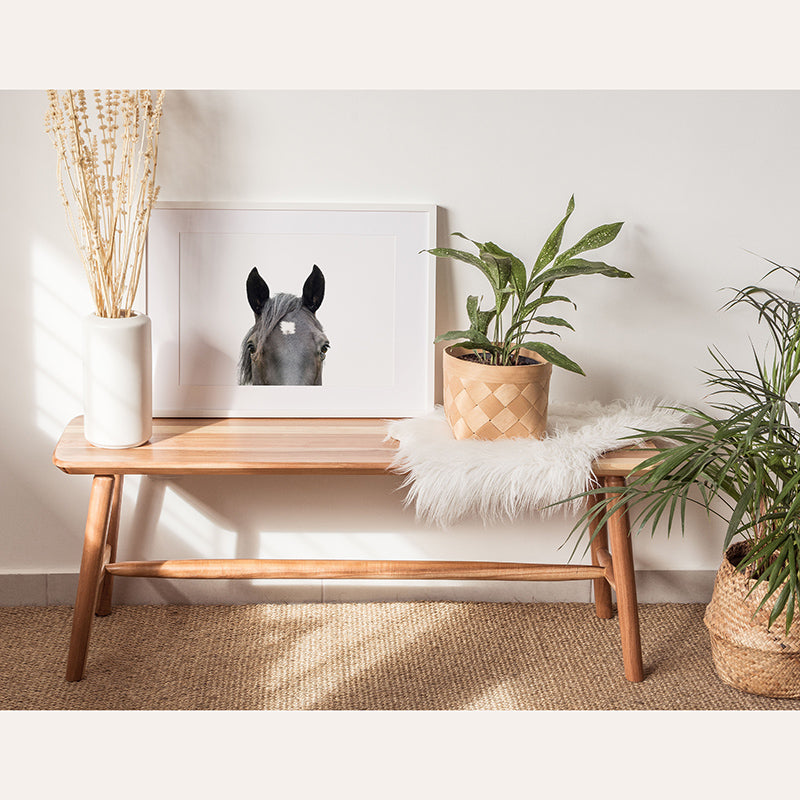 a picture of a horse on a table next to a potted plant