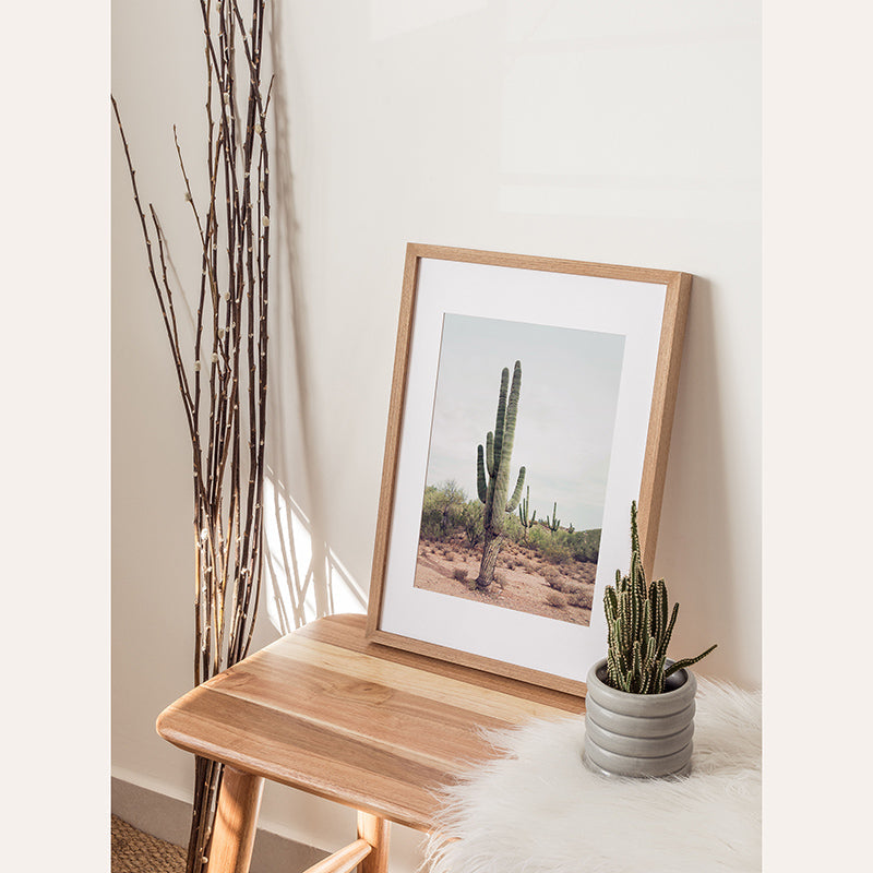 a picture of a cactus in a wooden frame