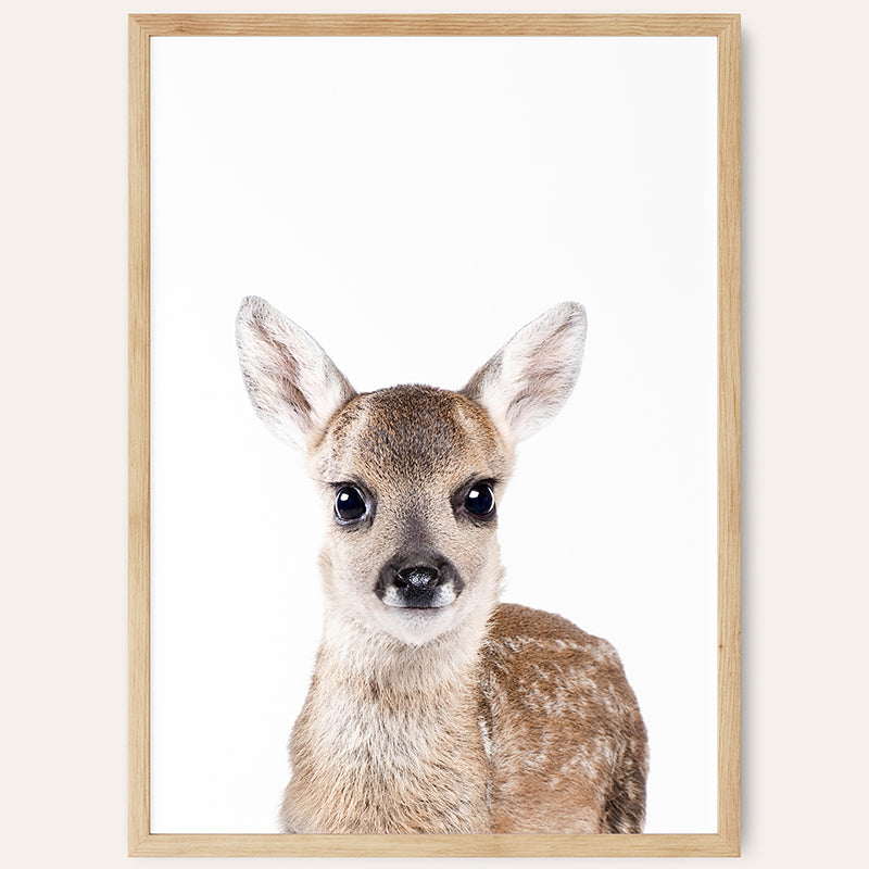 Baby Fawn / Framed Print - Sisi And Seb - Framed Prints
