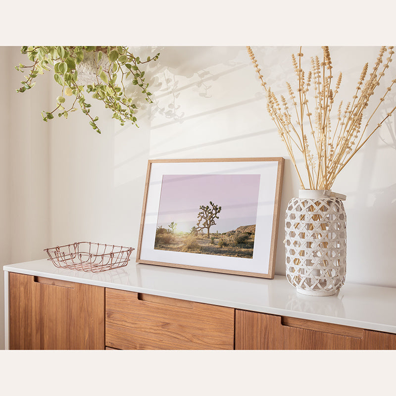 a picture of a tree in a vase on a shelf