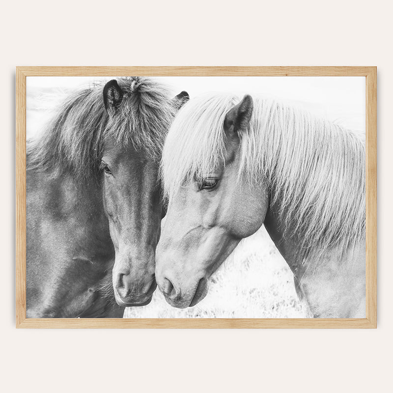 a black and white photo of two horses