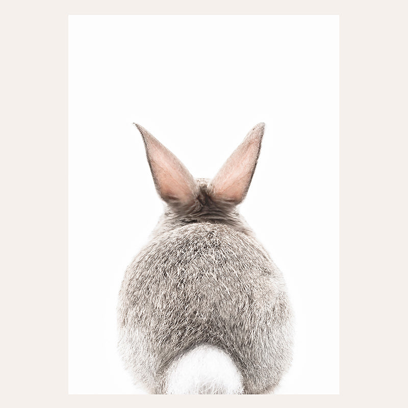 a close up of a rabbit&#39;s head with a white background