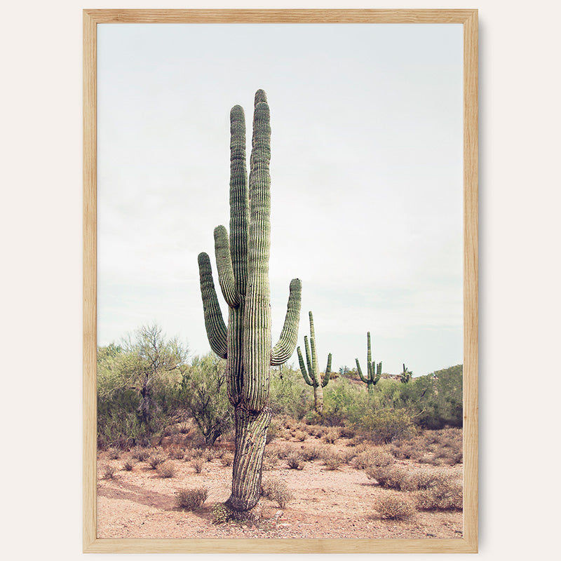 Desert Cactus / Framed Print - Sisi And Seb - Framed Prints