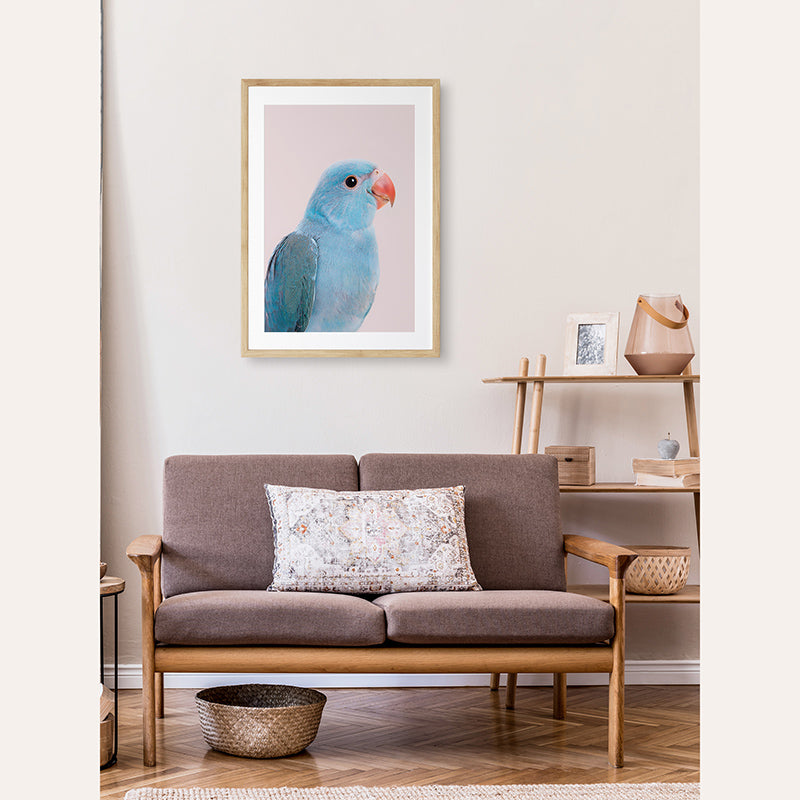 a blue bird sitting on top of a couch in a living room