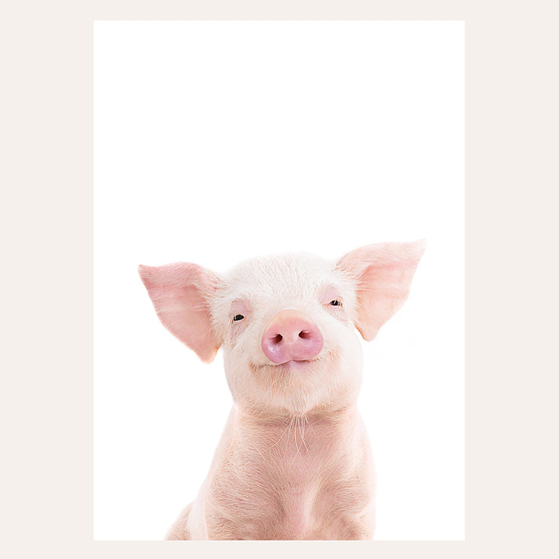 a small pig with a pink nose and ears