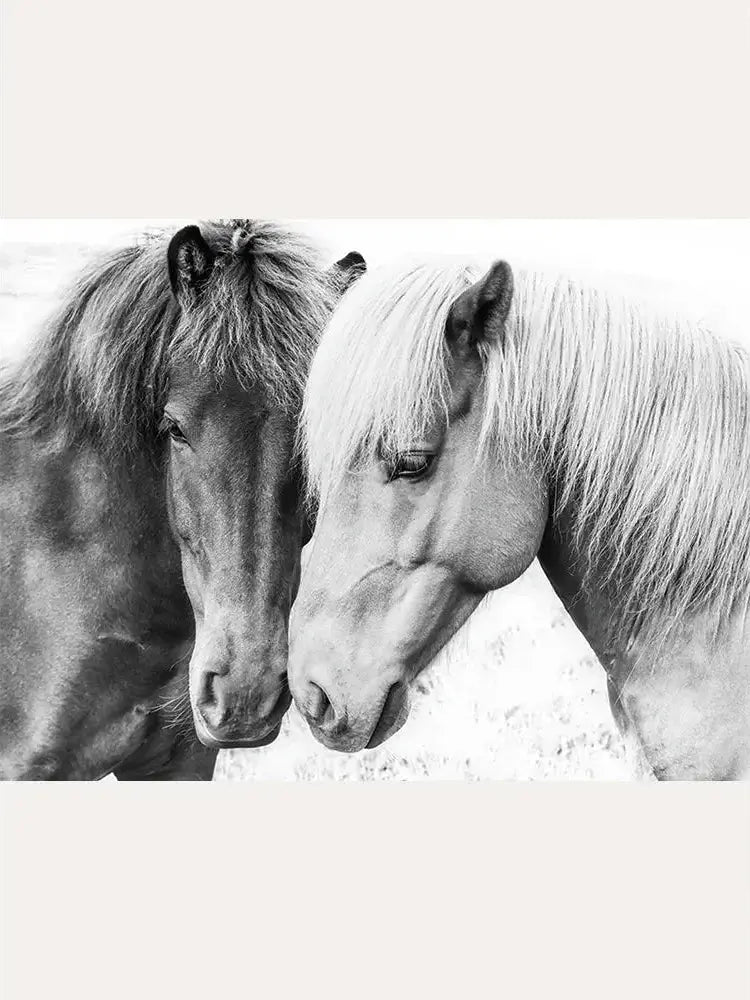 Horse Love Art Print