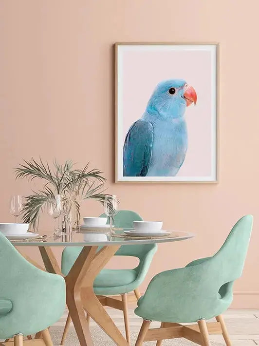 Blue Parrot /  FRAMED PRINT