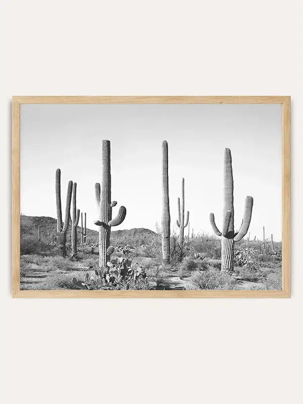 Grey Cactus Land /  FRAMED PRINT