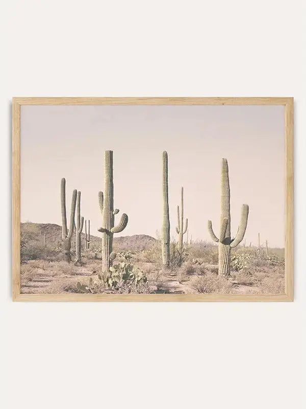 Blush Cactus Desert/  FRAMED PRINT