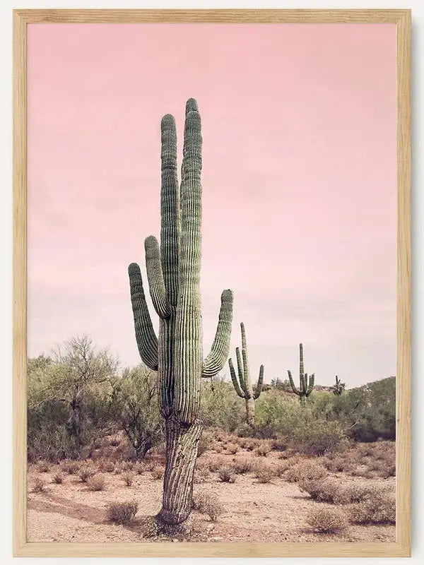 Pink Sky Desert Cactus /  FRAMED PRINT