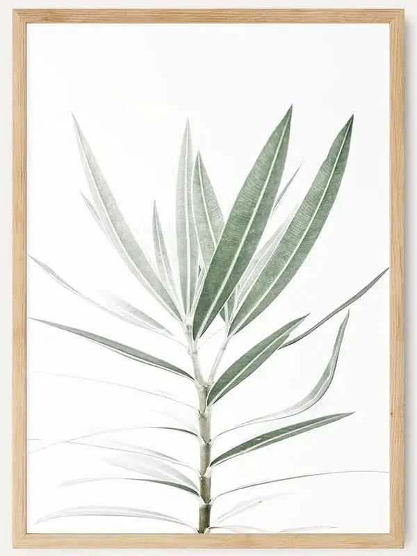 Botanical IV Oleander /  FRAMED PRINT